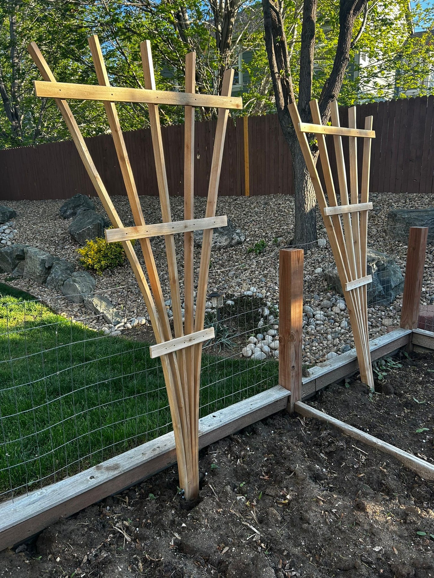 Cedar Fan Garden Trellis