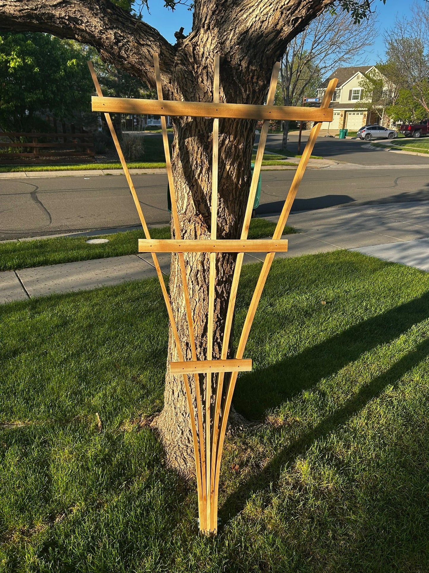 Cedar Fan Garden Trellis